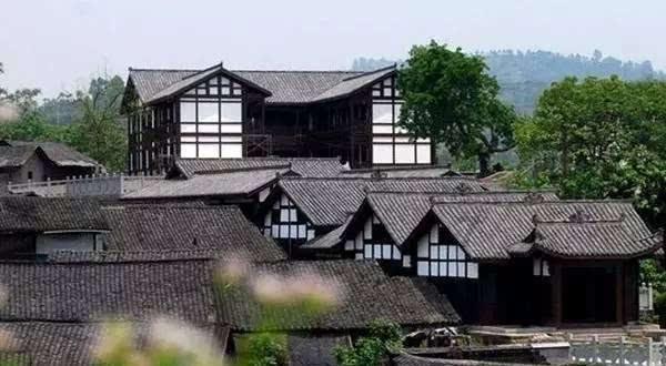 狂野的飙客