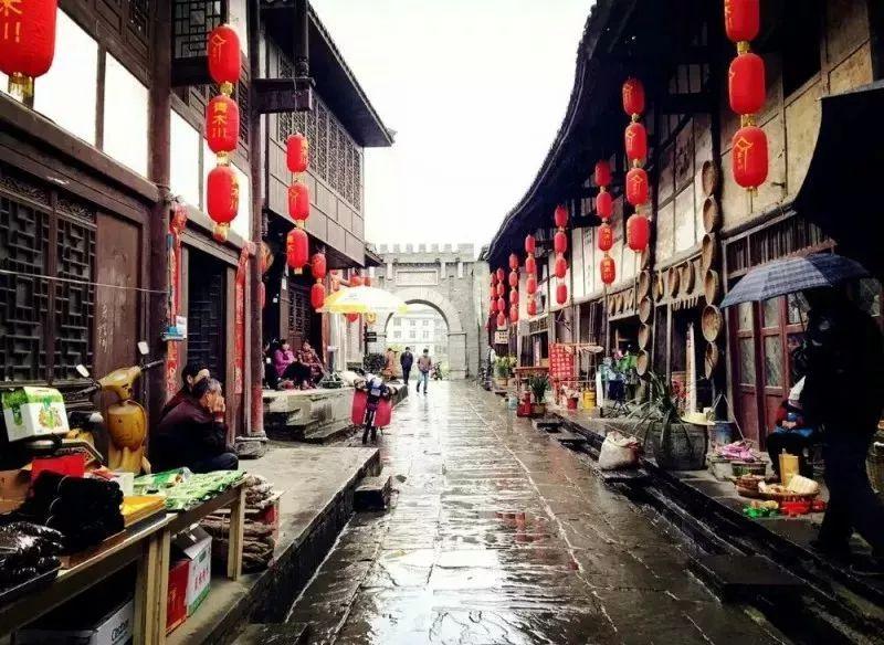 寻找奈良树花